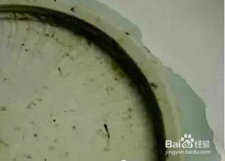 如何鉴别瓷器真伪