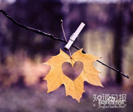 5种方法任选一，让你的七夕礼物俘获TA的心！