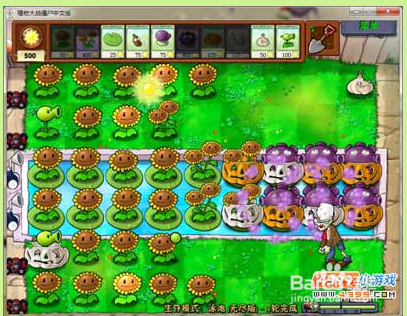植物大战僵尸1大海教程