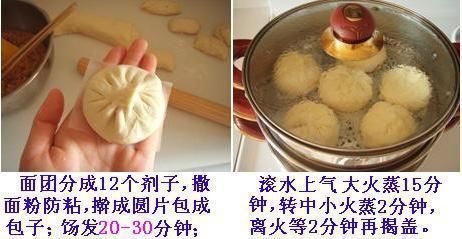 蒸包子的武功秘籍