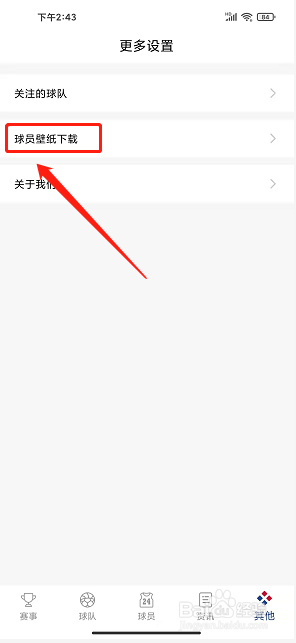 看个球app怎么下载球员壁纸