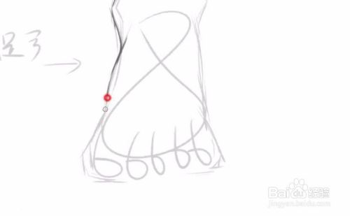 脚部画法 脚部正面线稿paint教程 百度经验 脚部画法 脚部正面线稿paint教程 百度经验