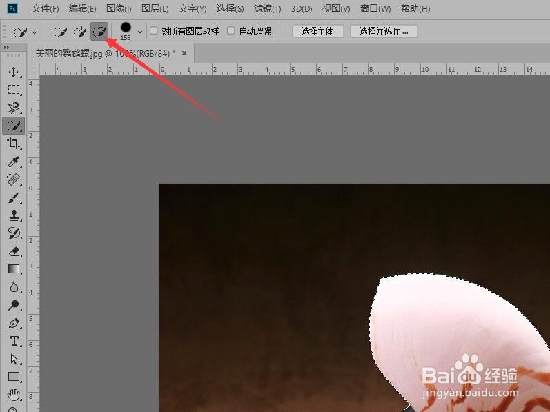 Photoshop 如何使用快速选择工具抠图