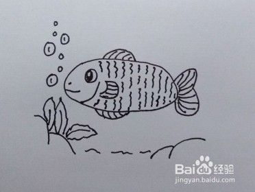 鱼的画法教程 12 怎么画 如何画鱼 画鱼方法 百度经验