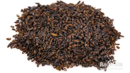 车前子酒炒怎么做法