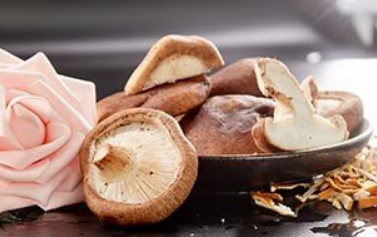 香菇不能跟哪些食物一起食用