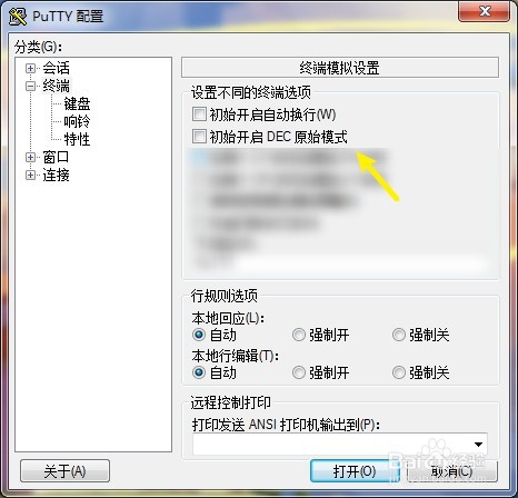 Putty怎么设定初始开启DEC原始模式