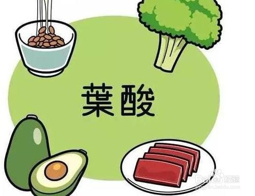 哪些人群适宜补充叶酸？