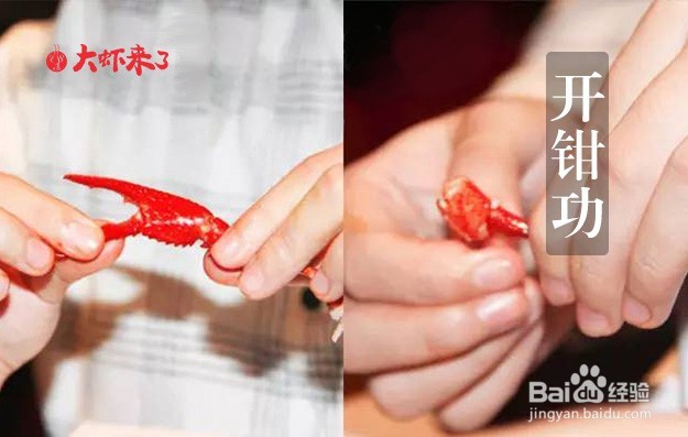 如何正确 吃小龙虾