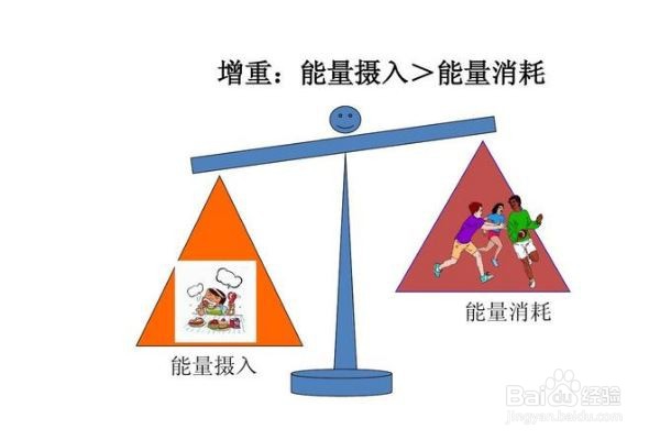 减肥该如何安排膳食