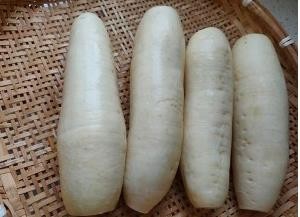 妈妈牌香辣萝卜干