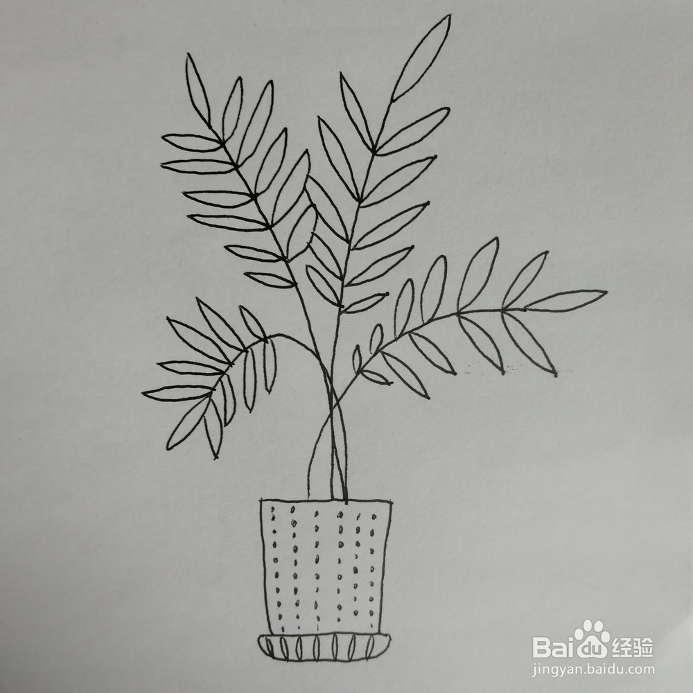 绿色盆栽简笔画怎么画