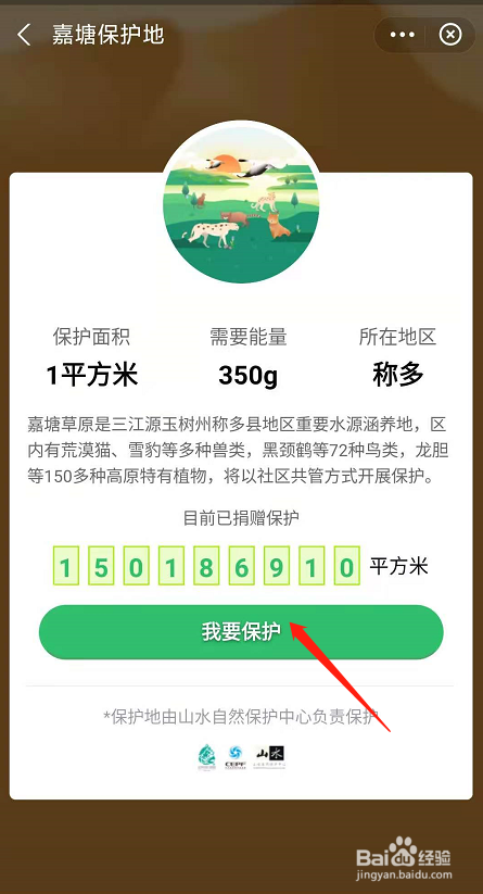 蚂蚁森林怎么种树