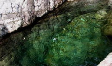 深潭的水为什么特别绿