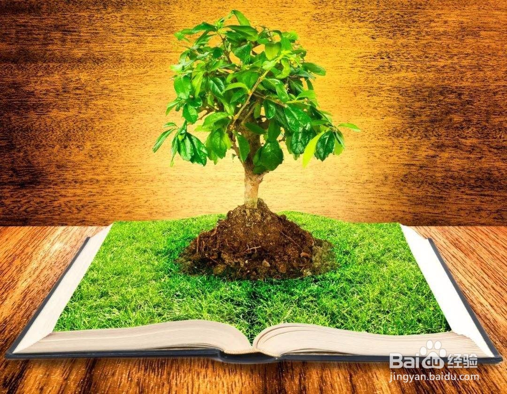 环境对人影响是否重要