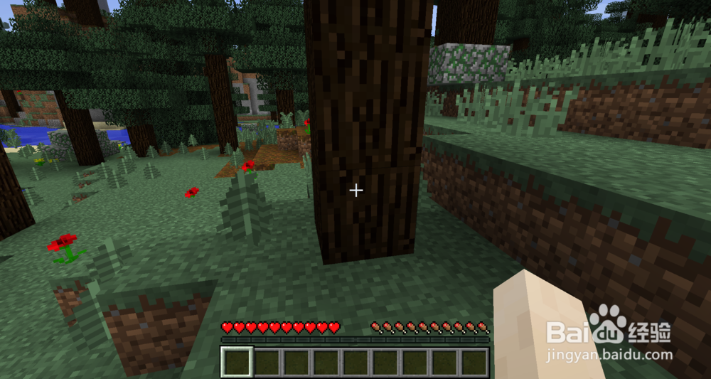 我的世界 最初该干的事