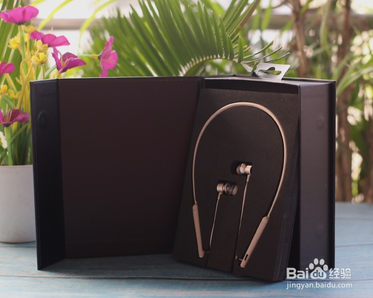 脉歌MacawTX-60 无线蓝牙耳机功能使用