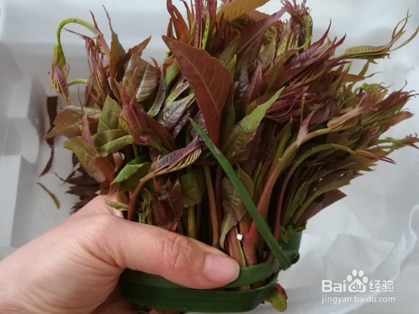 香辣油泼香椿的做法