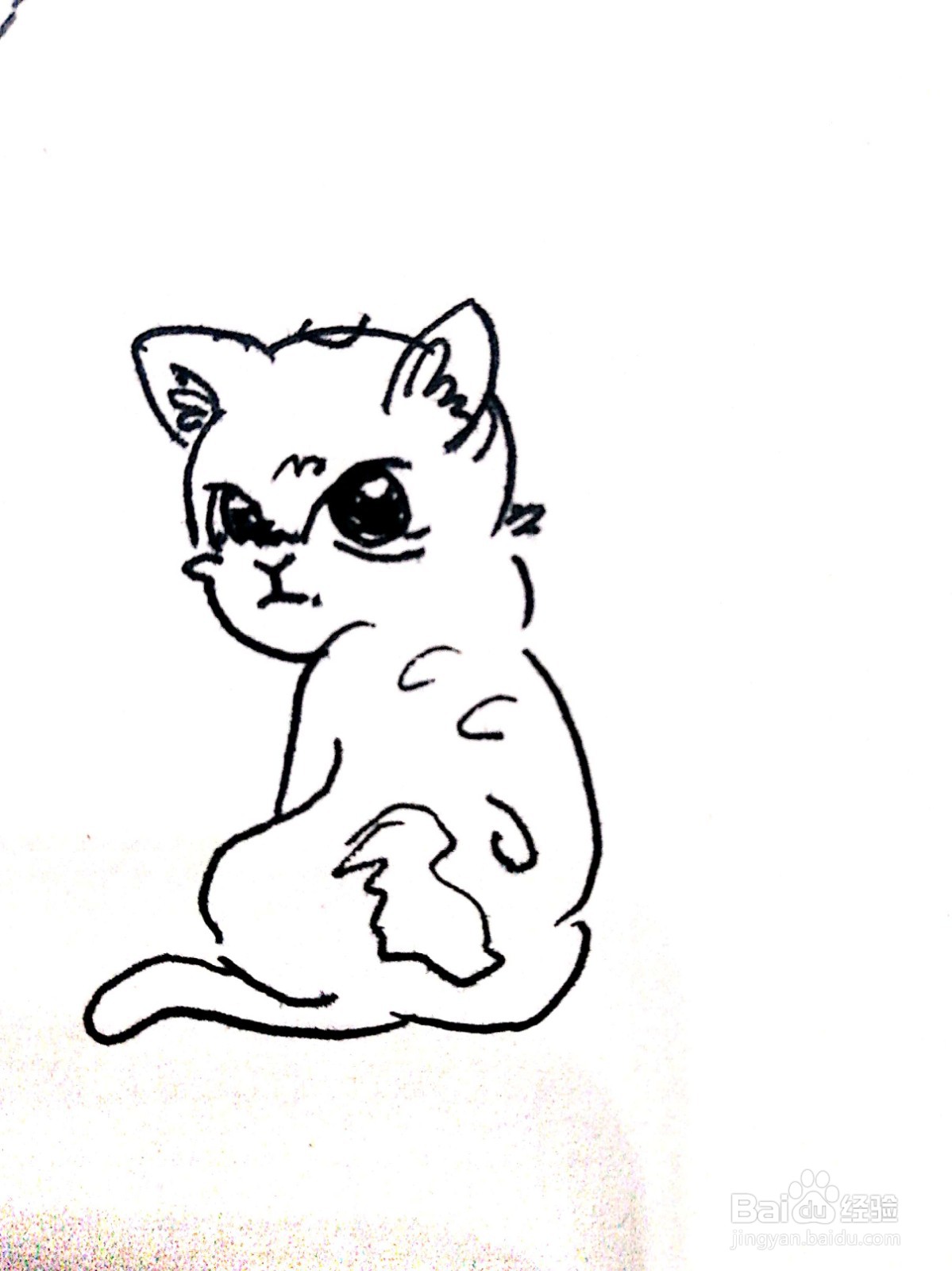 回头望的猫咪线描画怎么画