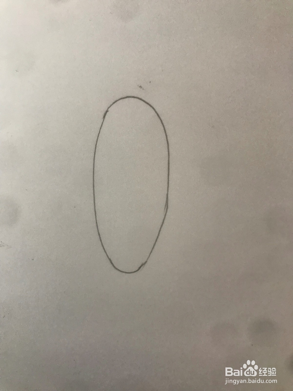 小猪佩琪里的鹦鹉波利如何画