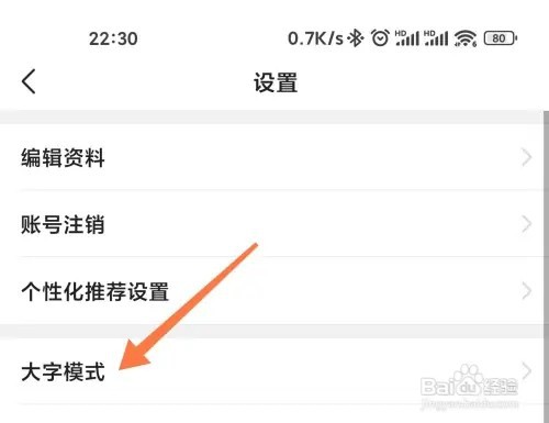 有柿如何打开大字模式