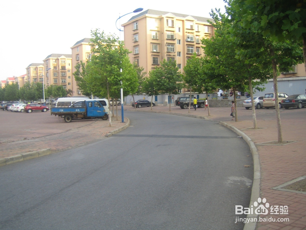 怎样告诉孩子安全过马路--51