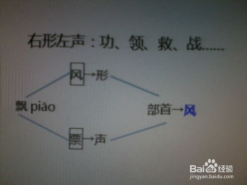 部首的确定 形声字查形不查声 百度经验