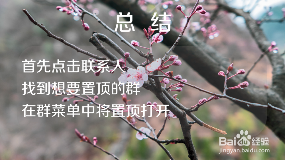 QQ怎么置顶群