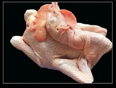 美味豉油鸡的做法