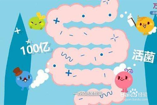 发生肠胃炎?常吃这8种食物保护好肠胃