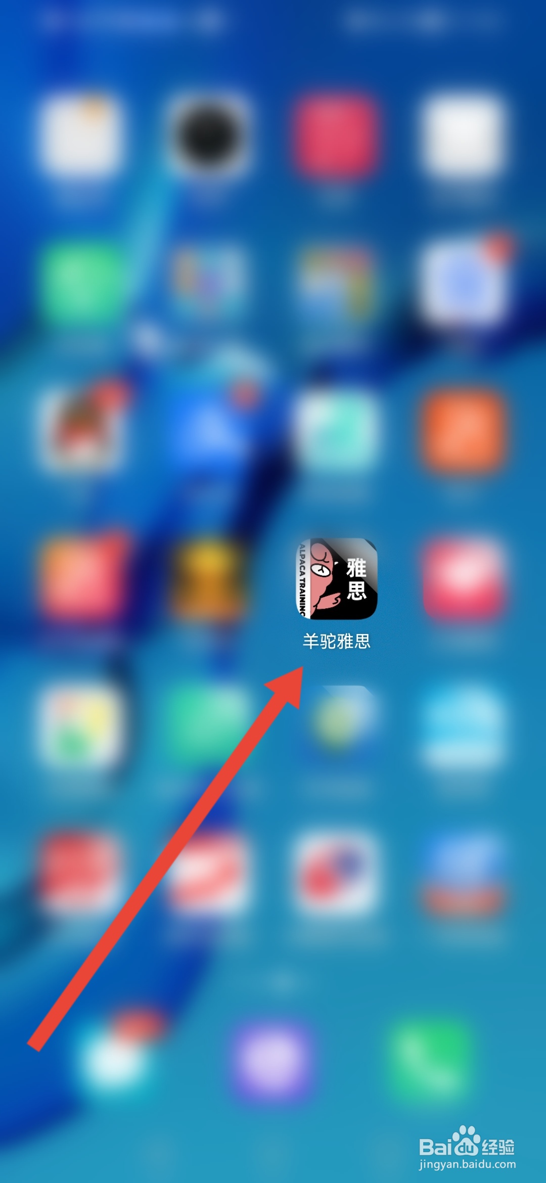 怎么羊驼雅思查看考试流程