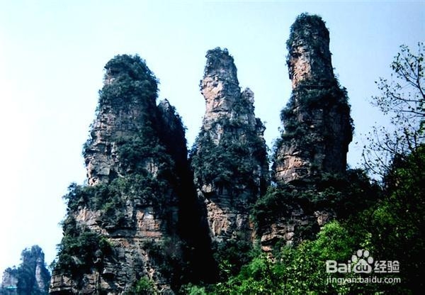 深圳到张家界自助游