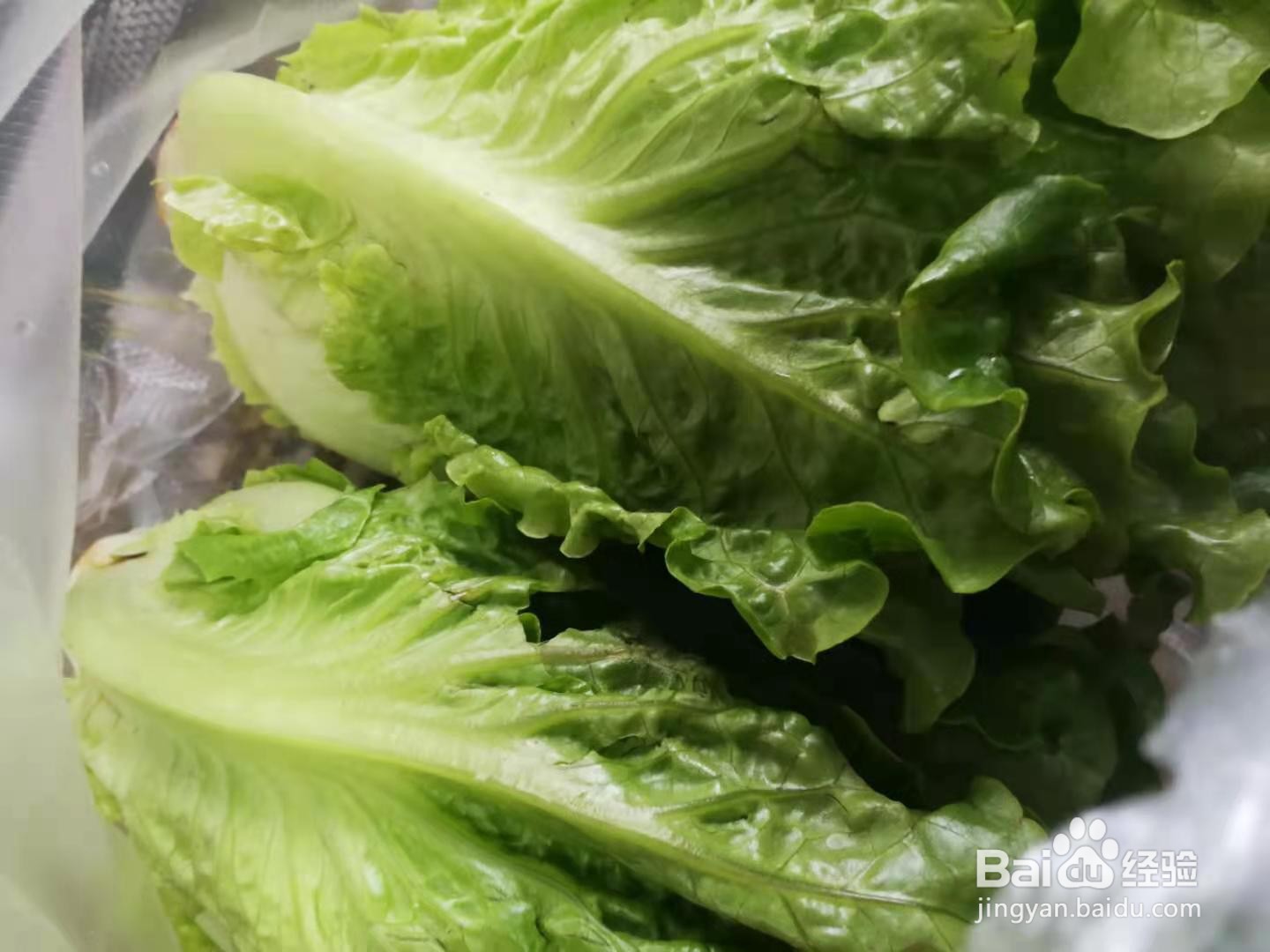 如何制作素炒生菜