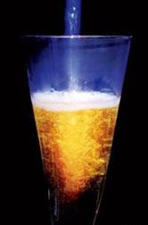 鸡尾酒之今夜不回家