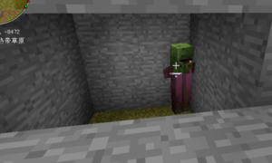 我的世界僵尸村民如何变成村民