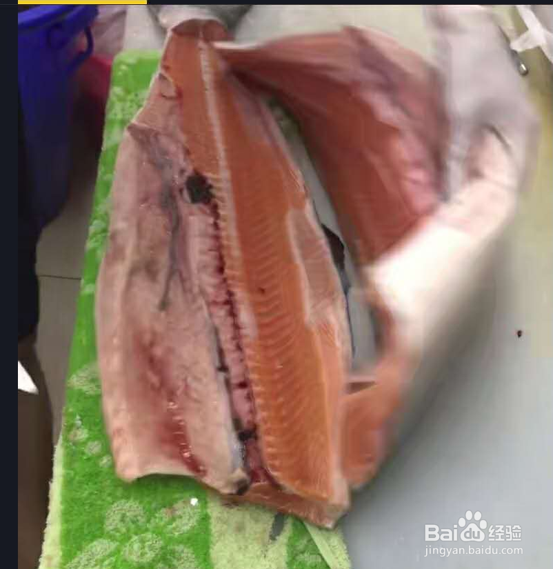 三文鱼各部位切片图解