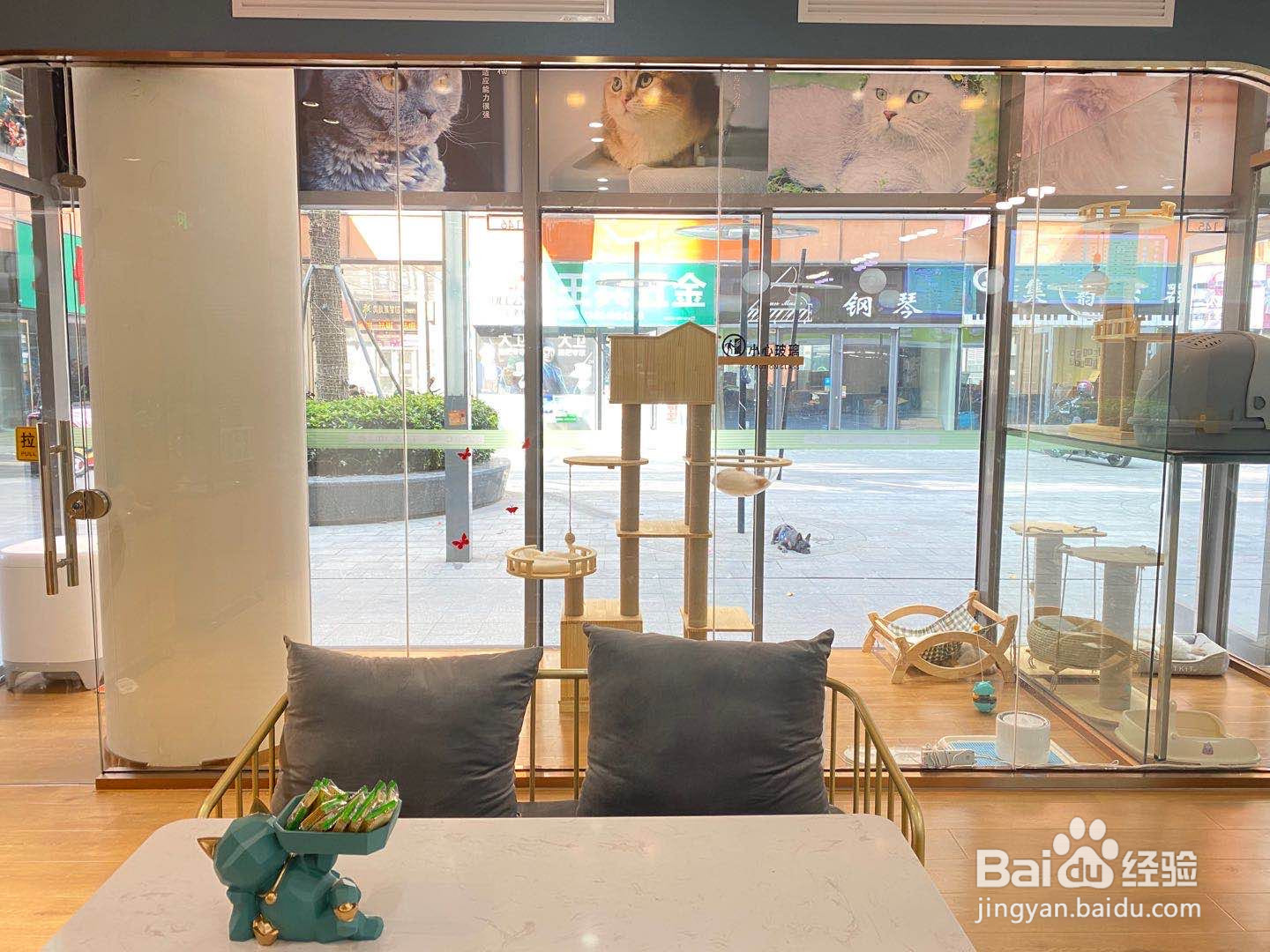 现在开猫店市场怎么样
