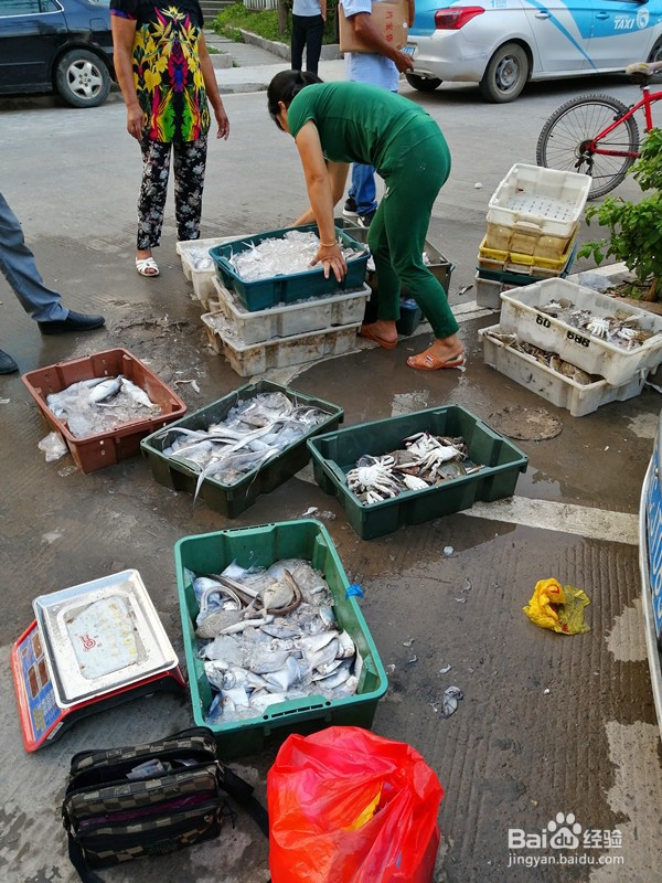 温州洞头鹿西岛旅行