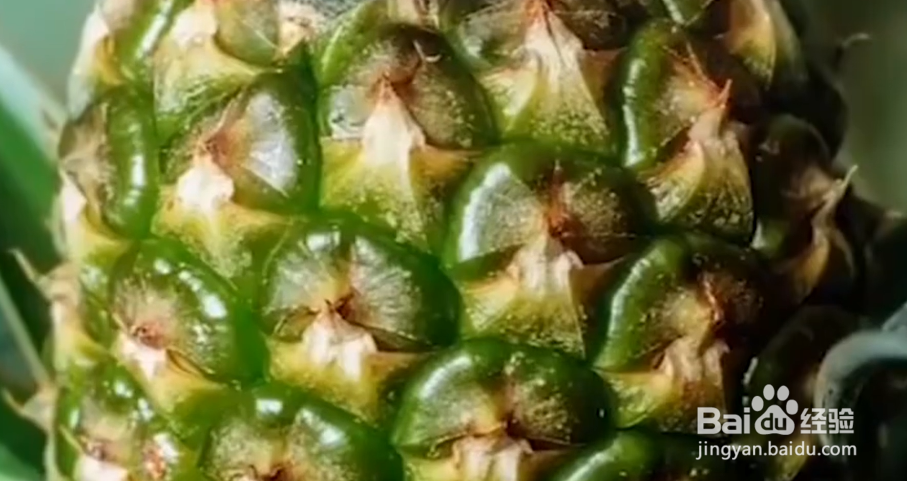 如何学会学会这些生活小技巧