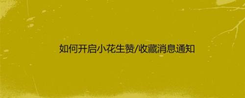 如何开启小花生赞/收藏消息通知