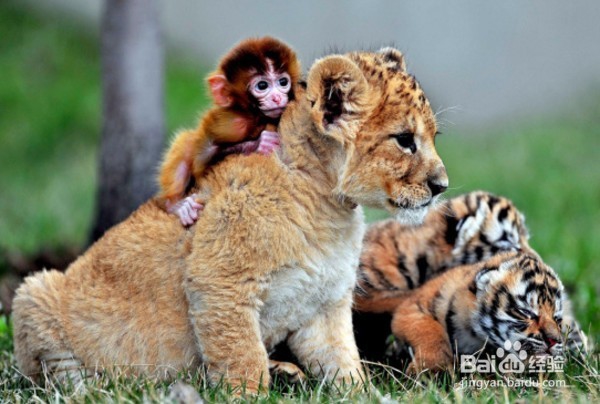 如何跟自己讨厌的人相处？