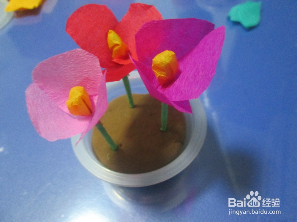 果冻盒子制作漂亮的小盆栽