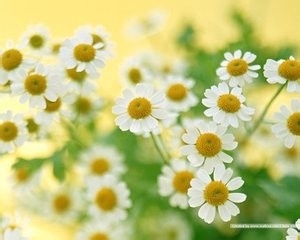 班级管理的个人见解与体会