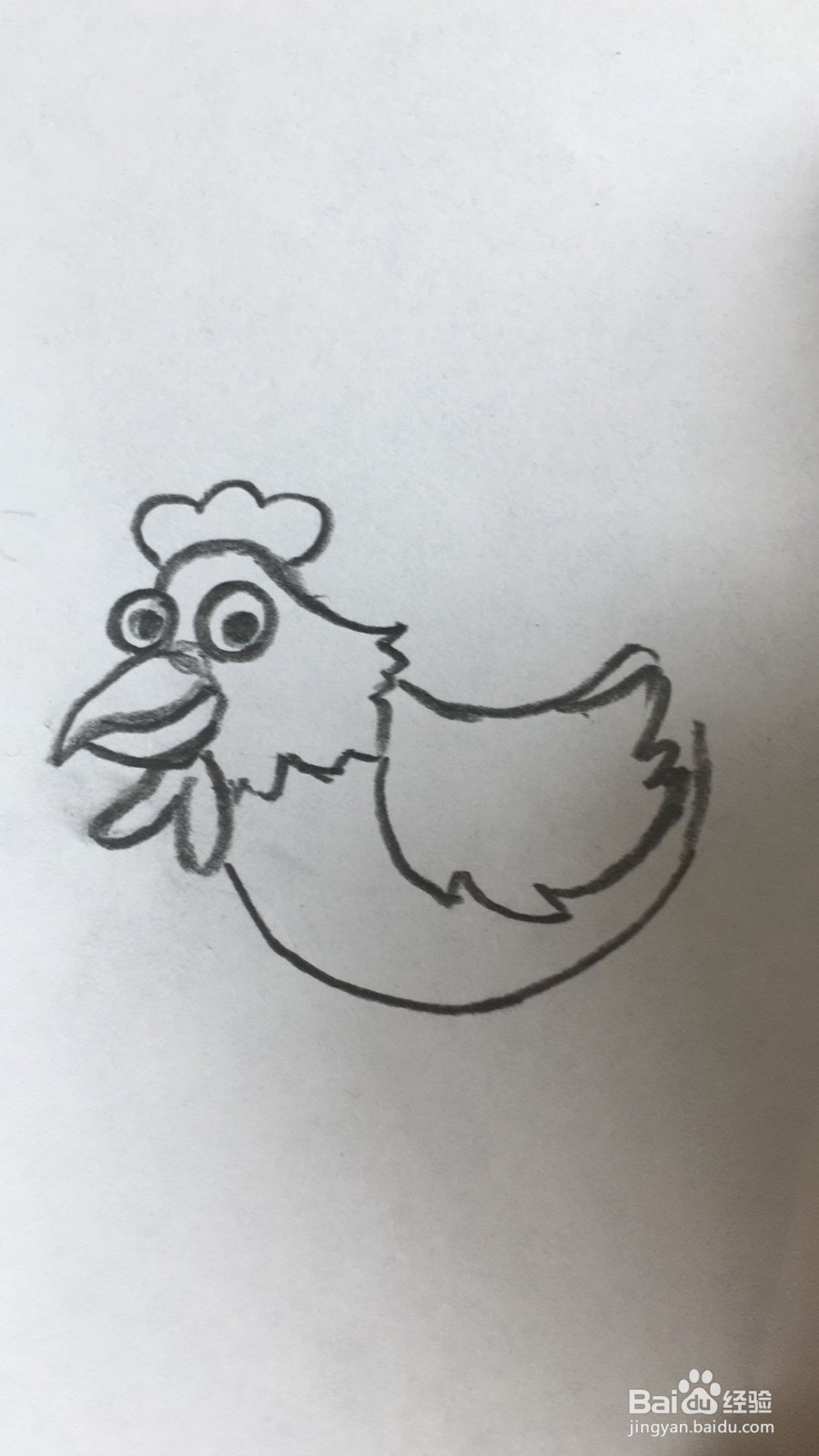 怎样画好一只公鸡
