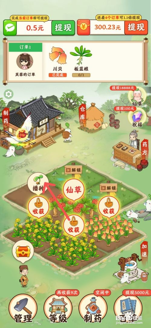 神农世家如何在农田种植柴胡药材