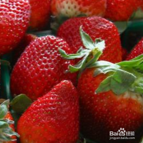 草莓定植后的管理技术