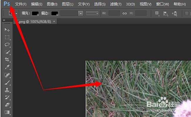 照片用ps打不开怎么办