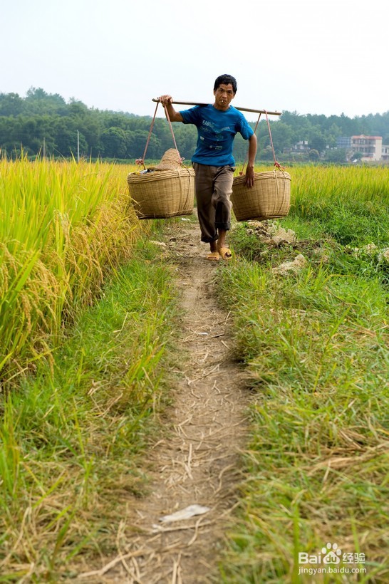 国庆过后，到长沙乡村怎样找农村人的乐子！！！