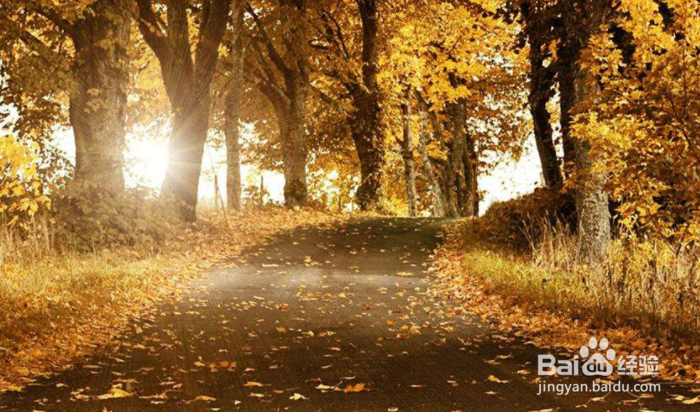 散文标题的作用