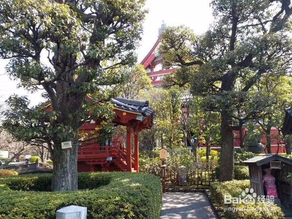 去日本发现他们真的自觉自律